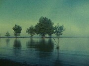 Simryn Gill, Untitled, 2004 Still from Super 8mm film. Courtesy the artist