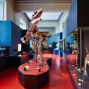 Dinosaurs. Courtesy of Naturhistorisches Museum Basel