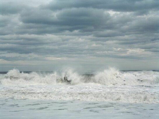 Tria Giovan , White Spring, 2009, Archival inkjet print, 30 x 40 inches
