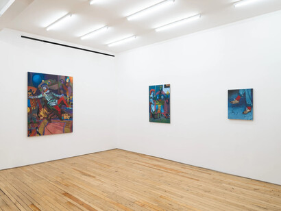 Joshua Petker, Artaud’s shoe, exhibition view. Courtesy of Rachel Uffner Gallery 