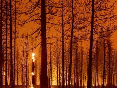 NBC News published a piece about the renewed interest in schools providing survival skills and urban disaster preparedness