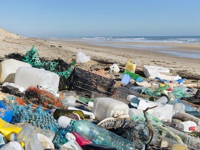 Immondizia in spiaggia: si trasforma in microplastiche che vengono ingerite dagli animali marini entrando così nella catena alimentare
