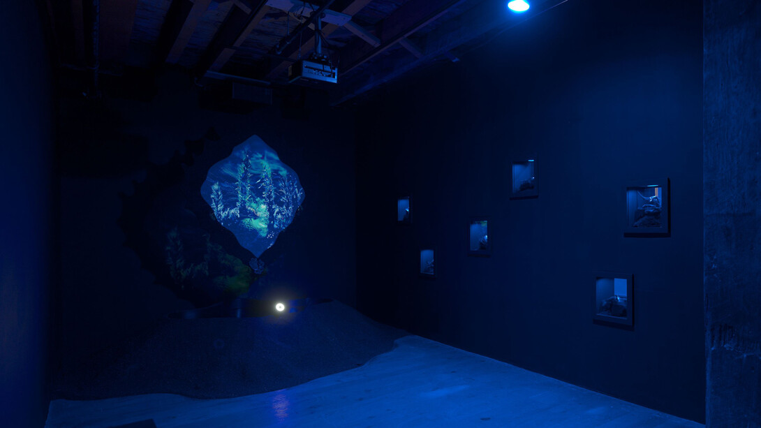 LaJuné McMillian, Child/ren of the bloom, exhibition view. Courtesy of Pioneer Works