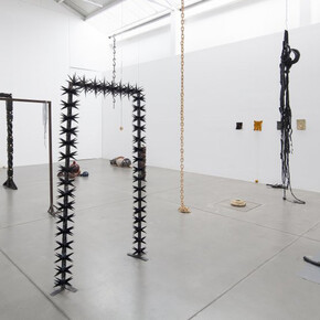 ektor garcia, En la boca del lobo, exhibition view. Courtesy of Galerie Nordenhake