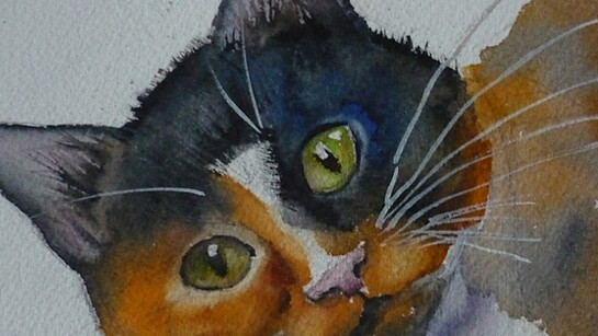 Jessica Rose, Bramble