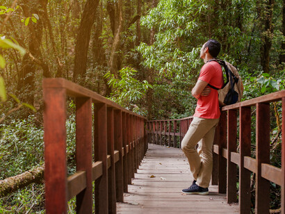 Explorar a natureza. Viva o presente
