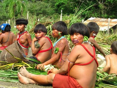 Mujeres yanomami