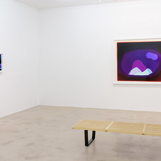 Liz Nielsen. Force Fields, Exhibition view. Courtesy of NextLevel Galerie