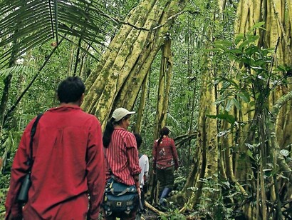 Expedición ecologista en la selva suramericana