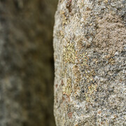 Ugo Rondinone. Courtesy of The Contemporary Austin