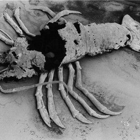 Untitled (Eros Diary), 2015, Silver gelatin print, 20 x 24 inches, (50.8 x 61 cm)
