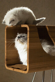 Pet Home Collection