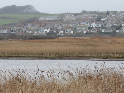 RSPB Lodmoor is close to Weymouth town and suburban housing © Gehan de Silva Wijeyeratne