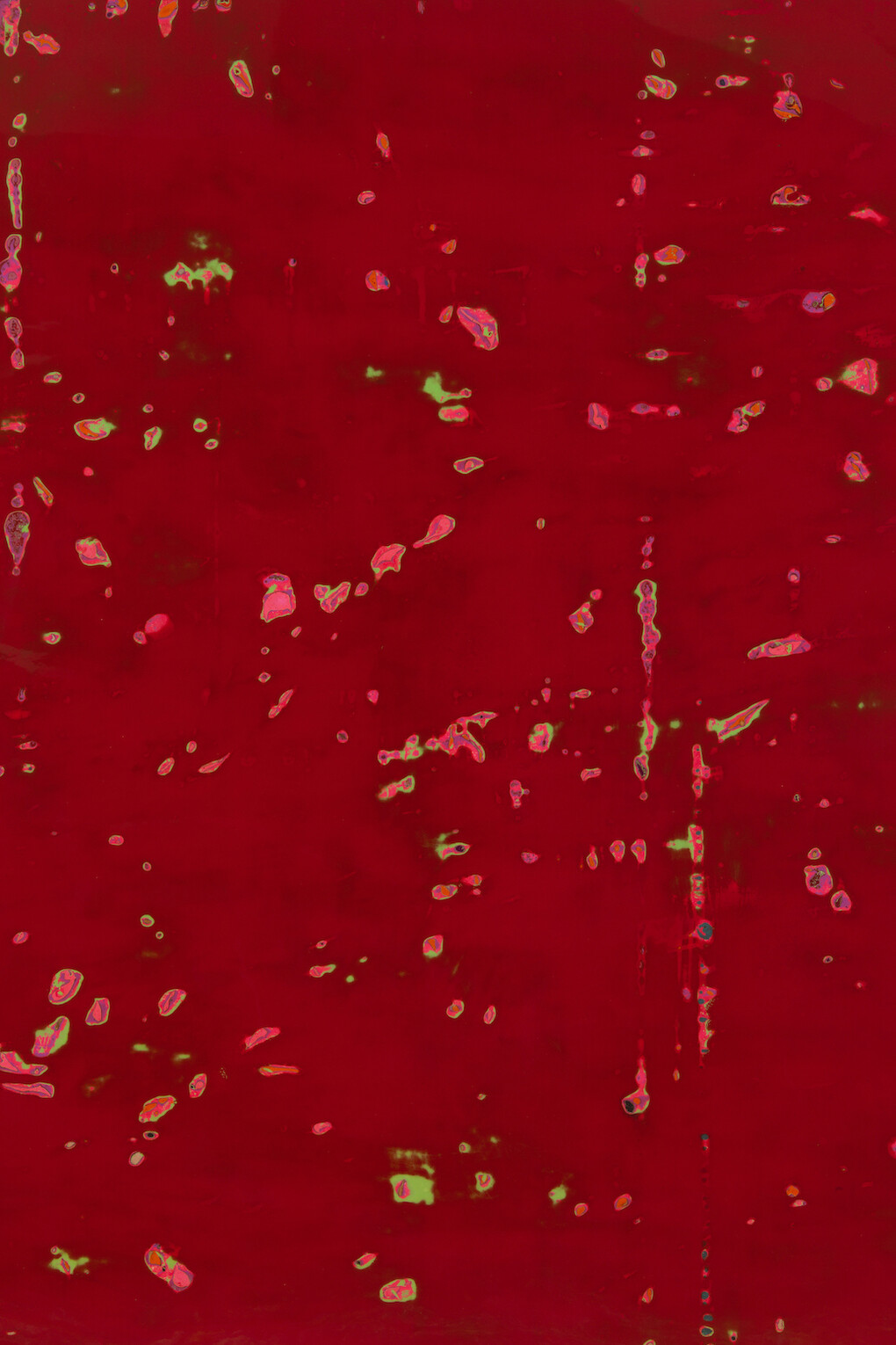 Barcilon, 2015, pure pigments and varnish on wood, 153x200cm. Detail