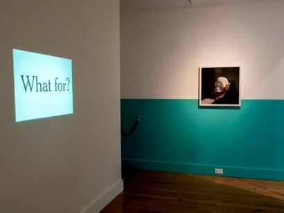 Jason Fulford, Exhibition view. courtesy of Fraenkel Gallery