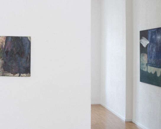 Viktorie Valocká, Exhibition view. Courtesy of Zahorian & Van Espen