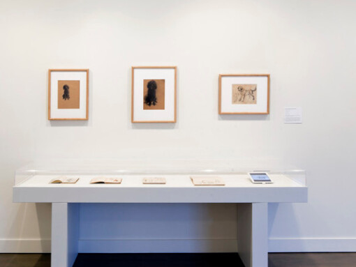 William J. Glackens, Exhibition view. Courtesy of NSU Art Museum