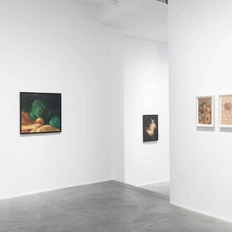 Oda Jaune, The other, exhibition view. Courtesy of Templon