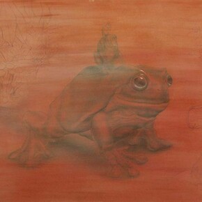 Sapu, Color pencil, acrylic on paper, 16” x 21.5” unframed, 20.25” x 26.25” framed