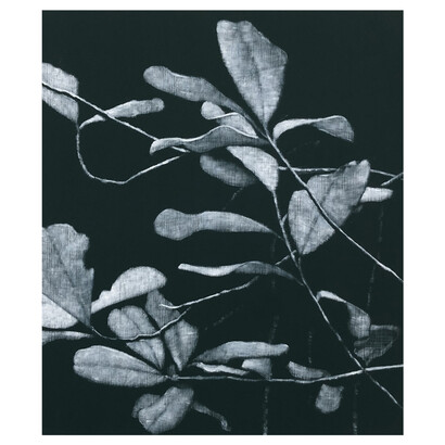 Peter Eastman, Undergrowth, oil on aluminium, 35x30 cm. Courtesy of Barnard Gallery