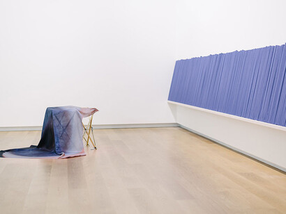 Dane Mitchell. Courtesy of Auckland Art Gallery