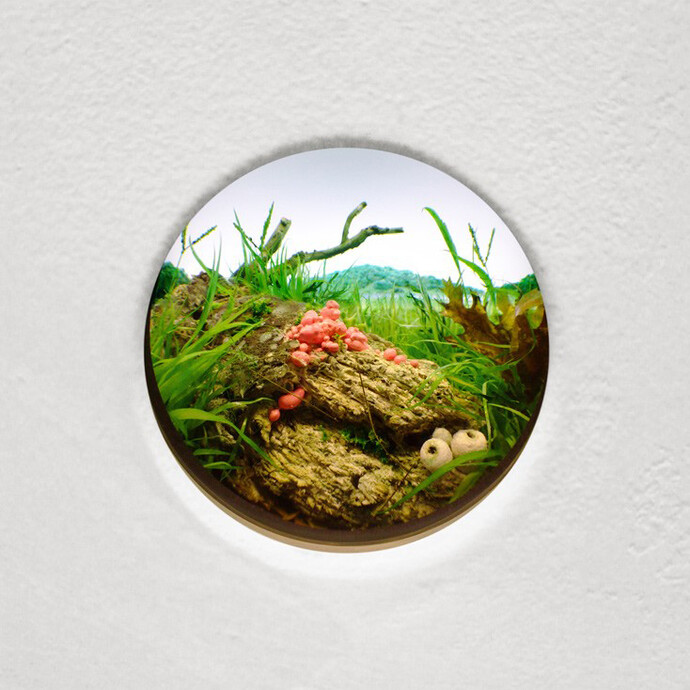 Pink Slime Mold with White Puffballs, 2015, Styrene, acrylic, gouache, cast neoprene, paper, ash, talc, starch, polyurethane foam, acrylite, vinyl film, wood, steel, lighting, BK7 glass, Interior box 14.75 x 11.25 x 9.25 inches, Diorama viewed through 2 inch window