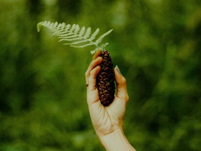 El inmenso negocio verde