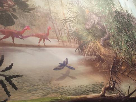 The Last American Dinosaurs. Courtesy of Smithsonian's National Museum of Natural History