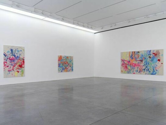 Installation Views. Courtesy 303 Gallery, New York