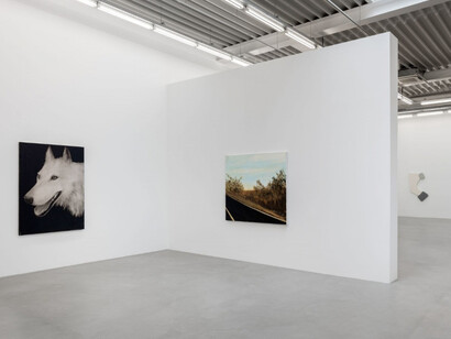 Joe Andoe. Courtesy of Almine Rech Gallery