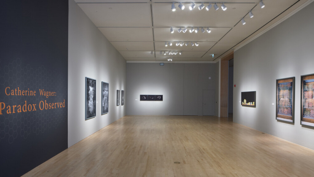 Catherine Wagner. Courtesy of San Jose Museum of Art