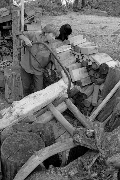 Island living, Tove by Per Olov Jansson,1930, Courtesy of the Finnish Institute in London