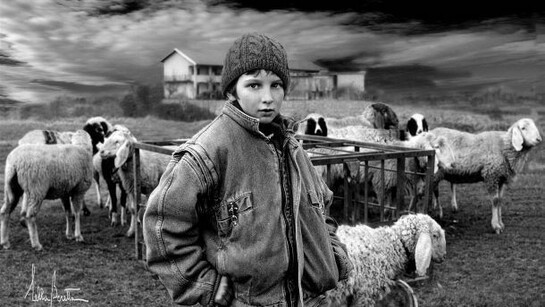 Lella Beretta, Gregge, Photographic Print on Canvas, 28" x 40"