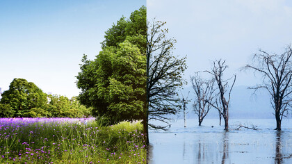 The effects of global warming appear on nature divided in two in the photo