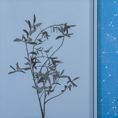 Marco Pellizzola, Dalla finestra 4. Courtesy of Pallavicini 22