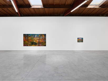 Ben Tong, Idea of north, exhibition view. Courtesy of Night Gallery