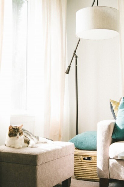 The cat's cozy bed became a sanctuary, instantly making it feel like home