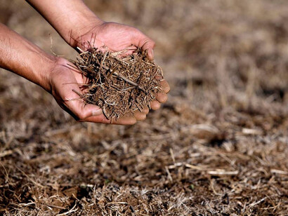 Desertification concerns agriculture 