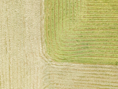 Agriculture sector uses a set of tools to provide food needs 