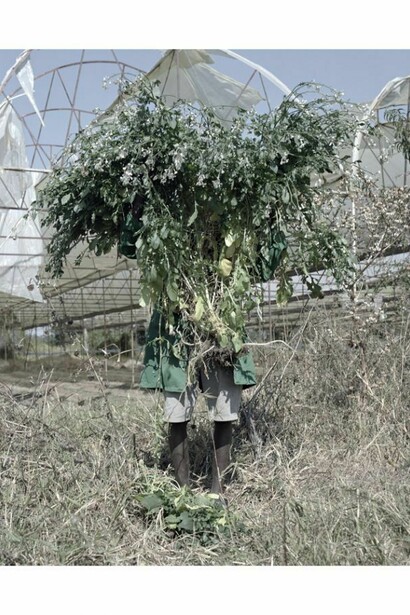 Jackie Nickerson, Lovemore Tree from the series Terrain, 2013, Courtesy of Jackie Nickerson and Brancolini Grimaldi