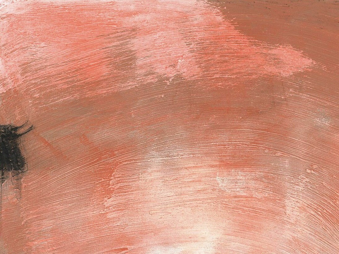 Miquel Barceló, Cite, 2016, Mixed media on canvas, 46 1/2 x 82 5/8 inches Art © 2016 Miquel Barceló / Artists Rights Society (ARS), New York / ADAGP, Paris. Courtesy of Acquavella Galleries 