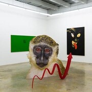 Rubell Family Collection