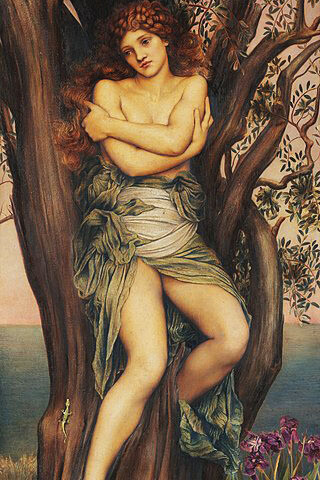 A dryad (/ˈdraɪ.æd/; Greek: Δρυάδες, sing. Δρυάς) is an oak tree nymph or oak tree spirit in Greek mythology
