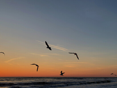 Se muovo le mani in un certo modo, posso deviare la mia rotta con facilità