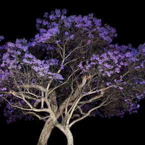 Amir Zaki. Courtesy of Edward Cella Art & Architecture