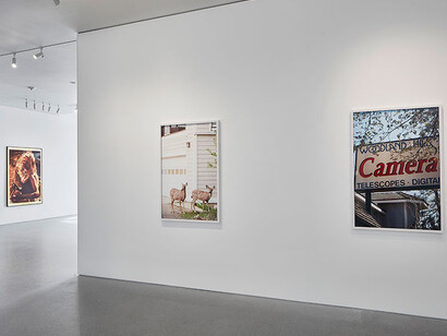 "Roe Ethridge: Innocence II", Installation view, Artworks © Roe Ethridge. Photo by Johnna Arnold
