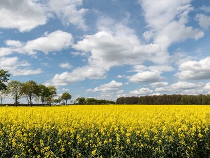La sostenibilidad de las explotaciones agrícolas depende en primer lugar de su rentabilidad