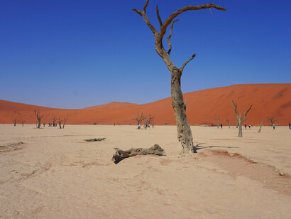 A place is in “water bankruptcy” when water demand exceeds supply and aquifers are overdrawn faster than they recharge