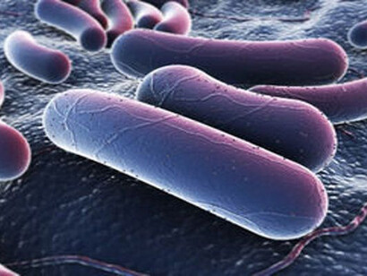 Batteri resistenti agli antibiotici