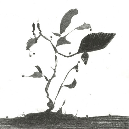 Nicola Tyson, Chrysalis, 2015, Mine de plomb sur papier, 19 x 19 cm © Courtesy Nicola Tyson et Petzel Gallery, New York